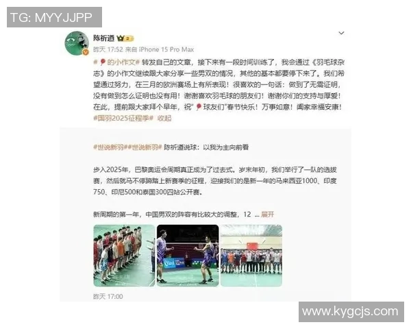 羽毛球技艺探秘：深入解析北京羽毛球队的进攻战术与策略